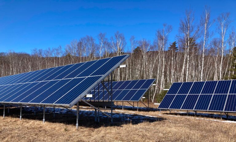 A solar panel array installed in an open field with a backdrop of leafless birch trees and a clear blue sky. The panels are tilted at an angle to capture sunlight efficiently. Patches of snow are visible on the ground, indicating a late fall or early winter setting.