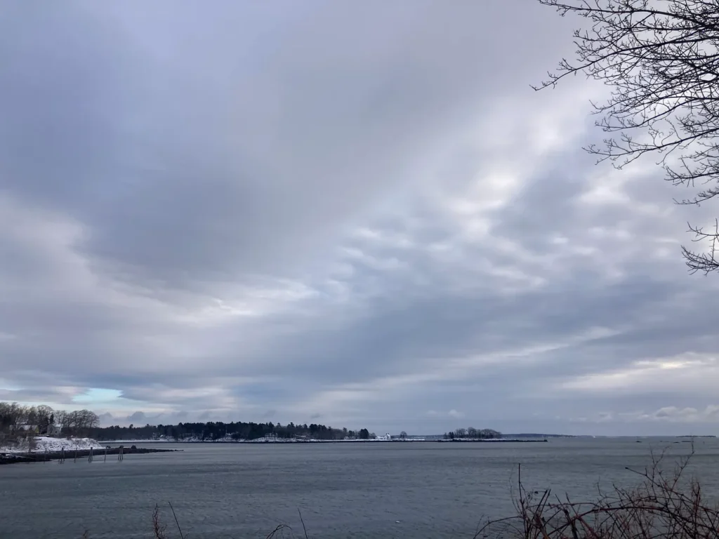 A serene coastal scene with a vast cloudy sky overhead. The water appears calm with a few ripples, and a snow-covered shoreline with trees and buildings is visible in the background. Bare tree branches frame the top right corner of the image. The atmosphere is cold and wintery, with muted colors and a tranquil ambiance.